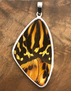 Large Butterfly Shimmerwing Pendant
