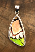 Load image into Gallery viewer, Medium Butterfly Shimmerwing Pendant
