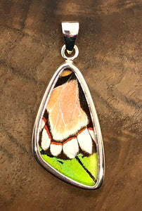 Medium Butterfly Shimmerwing Pendant