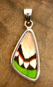 Small Butterfly Shimmerwing Pendant