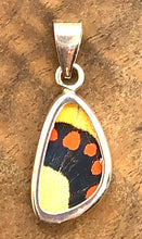 Load image into Gallery viewer, Extra-Small Butterfly Shimmerwing Pendant
