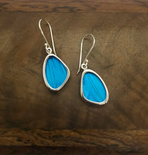 Load image into Gallery viewer, Extra-Small Blue Butterfly Shimmerwing Earrings

