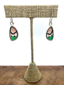 Extra-Small Butterfly Shimmerwing Earrings