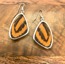 Load image into Gallery viewer, Medium Butterfly Shimmerwing Earrings
