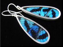 Load image into Gallery viewer, Long Drop Blue Flash Shimmerwing Earrings
