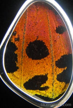 Load image into Gallery viewer, Extra-Small Sunset Butterfly Shimmerwing Pendant
