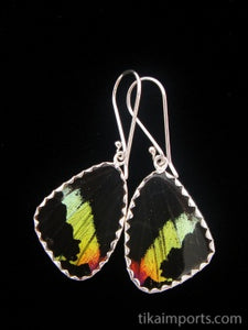 Extra-Small Sunset Butterfly Shimmerwing Earrings