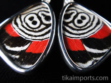 Load image into Gallery viewer, Small 88 Butterfly Shimmerwing Earrings
