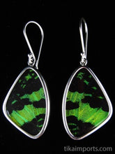 Load image into Gallery viewer, Medium Green &amp; Black Butterfly Shimmerwing Earrings
