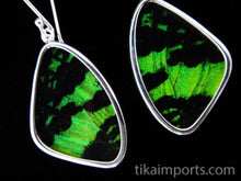Load image into Gallery viewer, Medium Green &amp; Black Butterfly Shimmerwing Earrings
