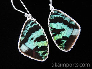 Medium Green & Black Butterfly Shimmerwing Earrings