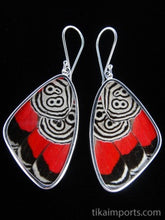 Load image into Gallery viewer, Large 88 Butterfly Shimmerwing Earrings
