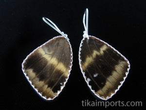 Large 88 Butterfly Shimmerwing Earrings