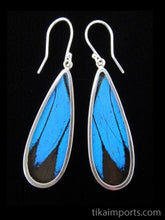 Load image into Gallery viewer, Long Drop Blue &amp; Black Butterfly Shimmerwing Earrings
